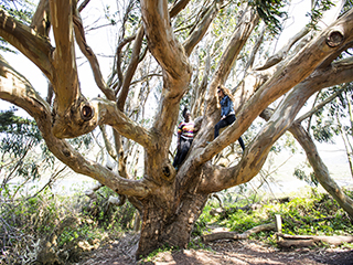hi marin headlands outdoor hostel adventure rates